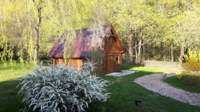 BAKUSIOWY ZAKĄTEK in Lipowo Kurkowskie